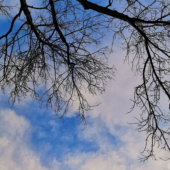 Meet your Posher, F E - Picture 1 of 1